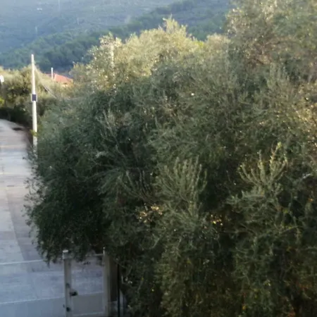 Soggiorno A 5 Stelle *