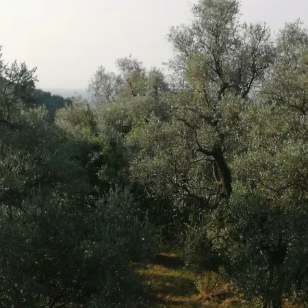Soggiorno A 5 Stelle *